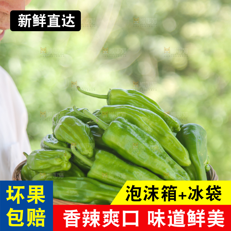 青椒