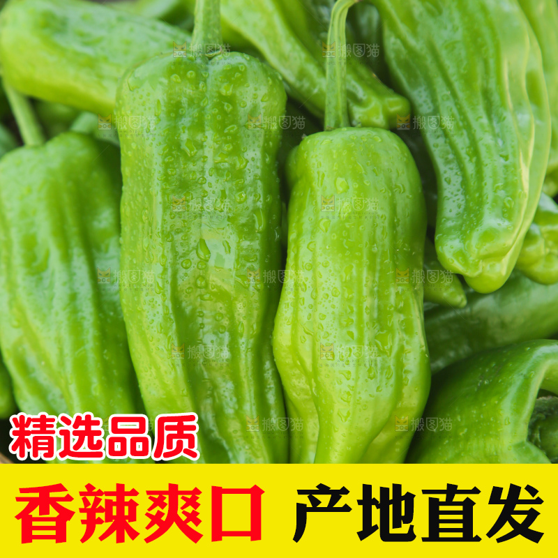 青椒