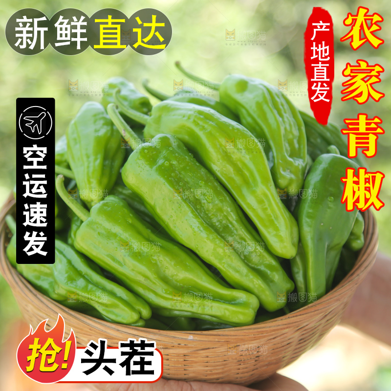 青椒