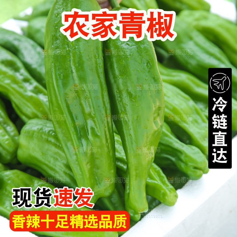 青椒