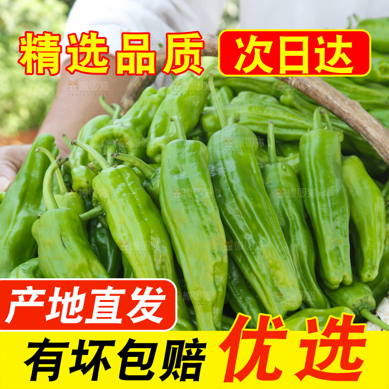 青椒