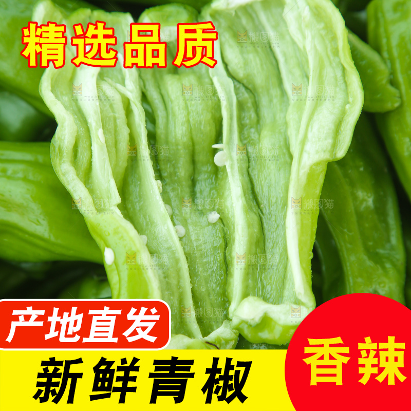青椒