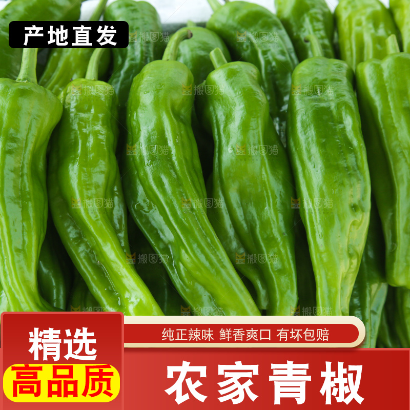 青椒