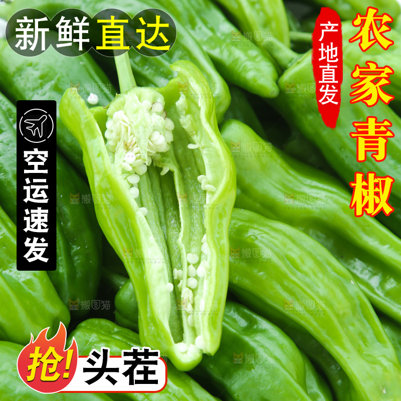 青椒