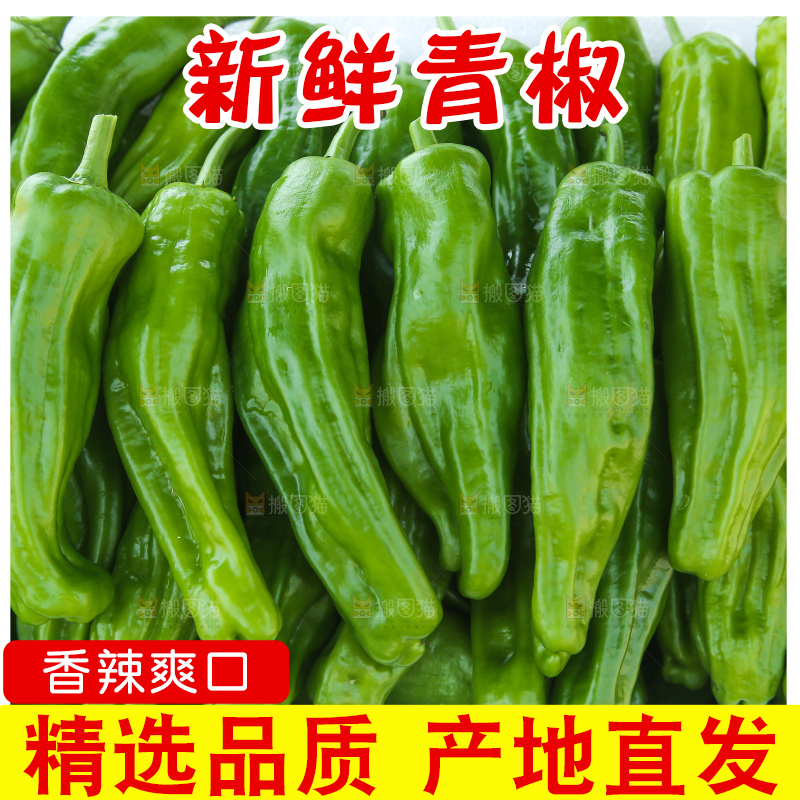 青椒