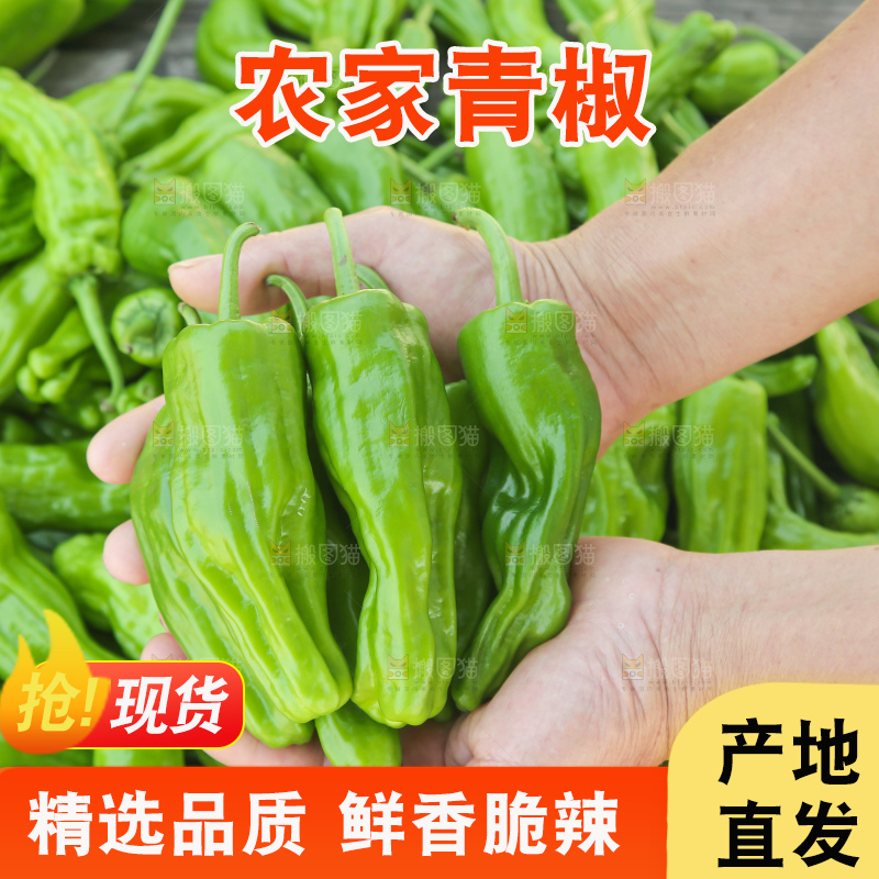 青椒
