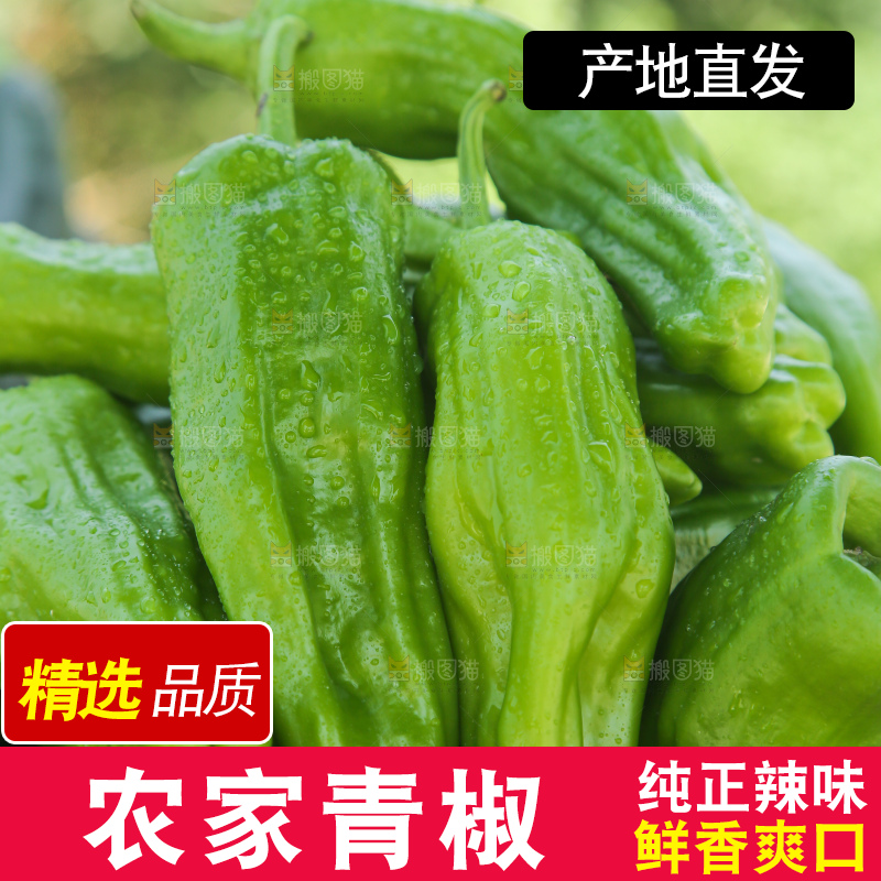 青椒