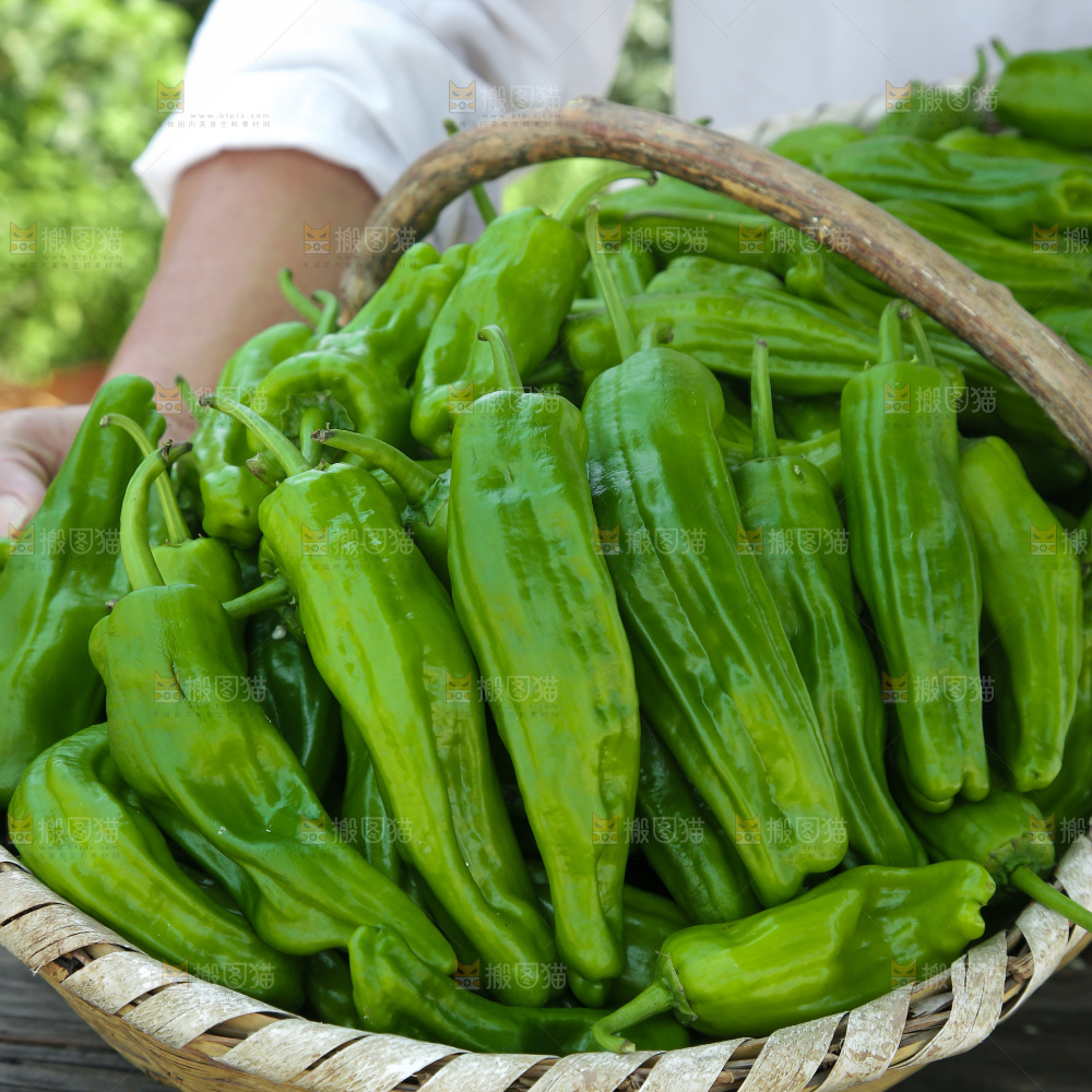 青椒