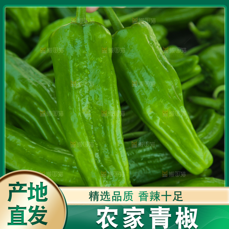 青椒