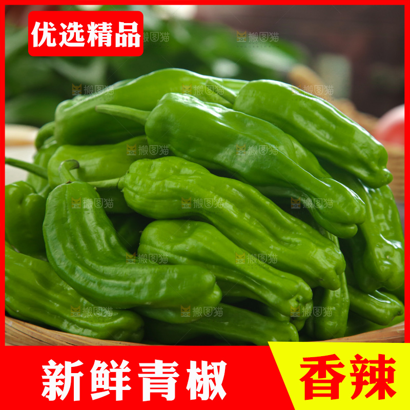 青椒