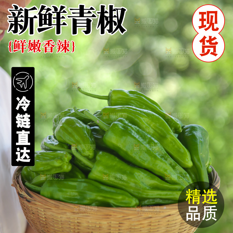 青椒