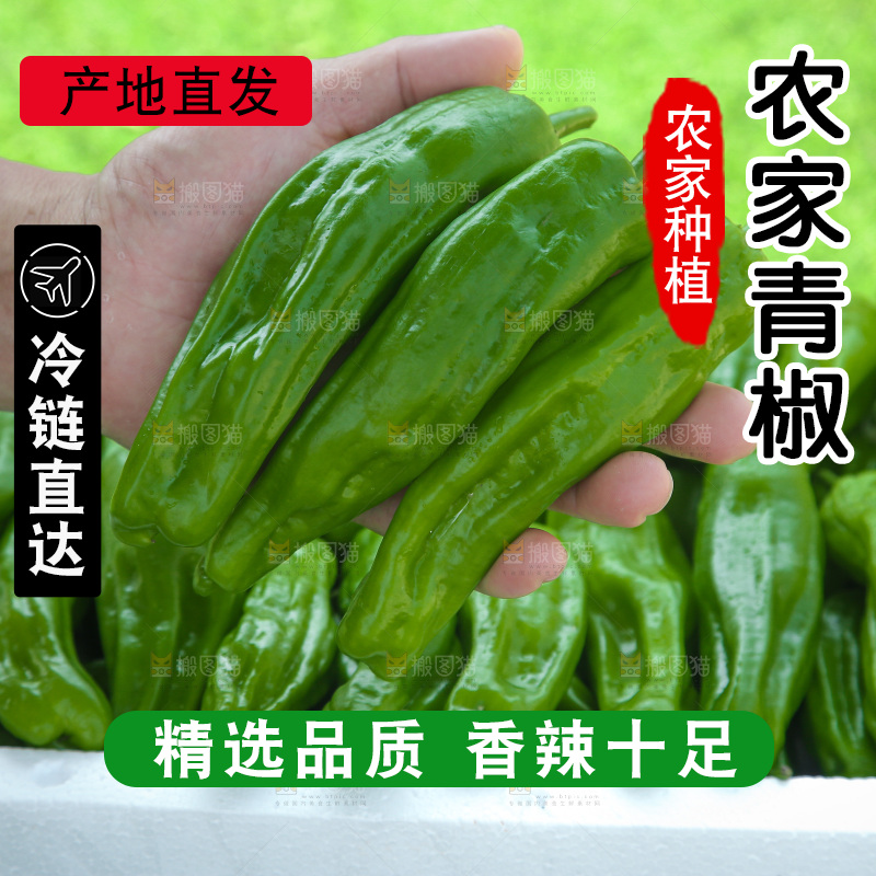 青椒