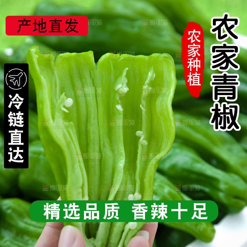 青椒