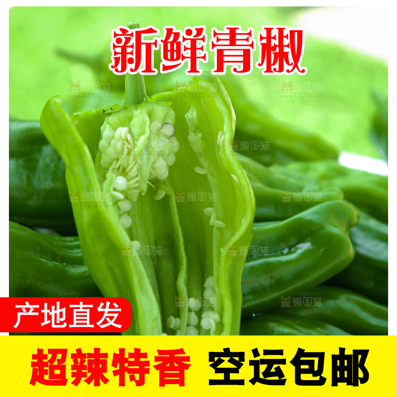 青椒