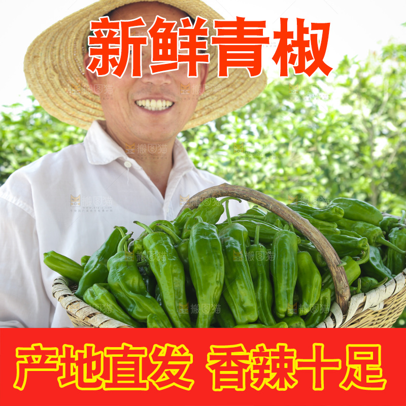 青椒