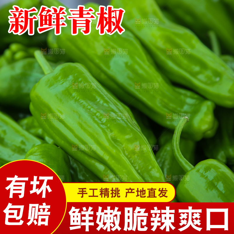 青椒
