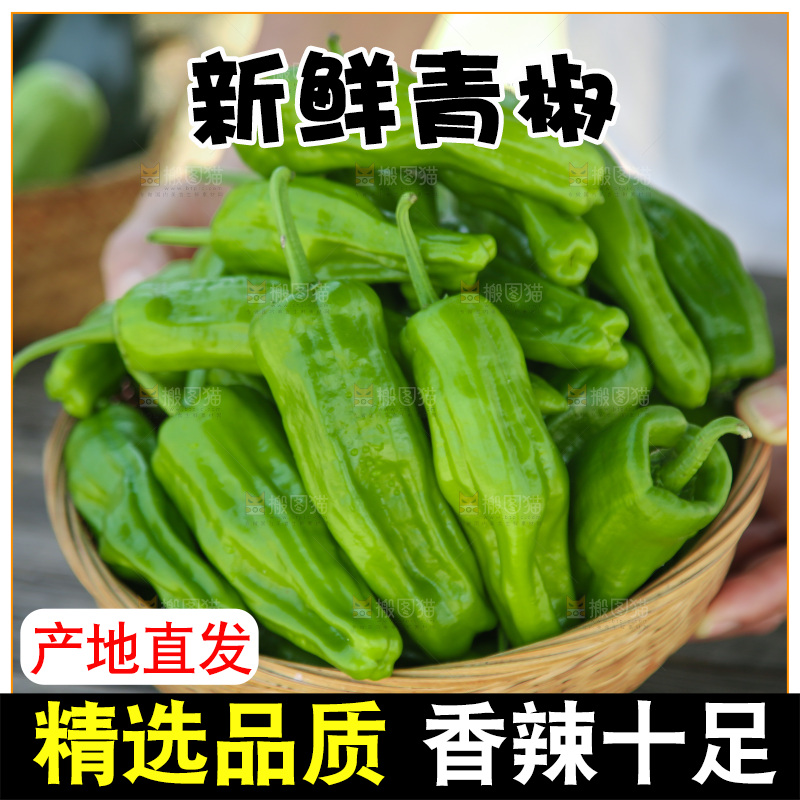 青椒