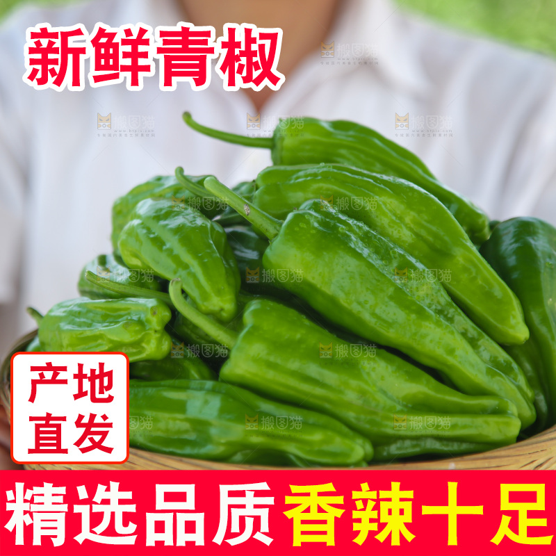 青椒