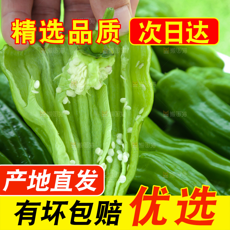 青椒