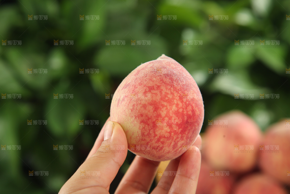 胭脂红桃子