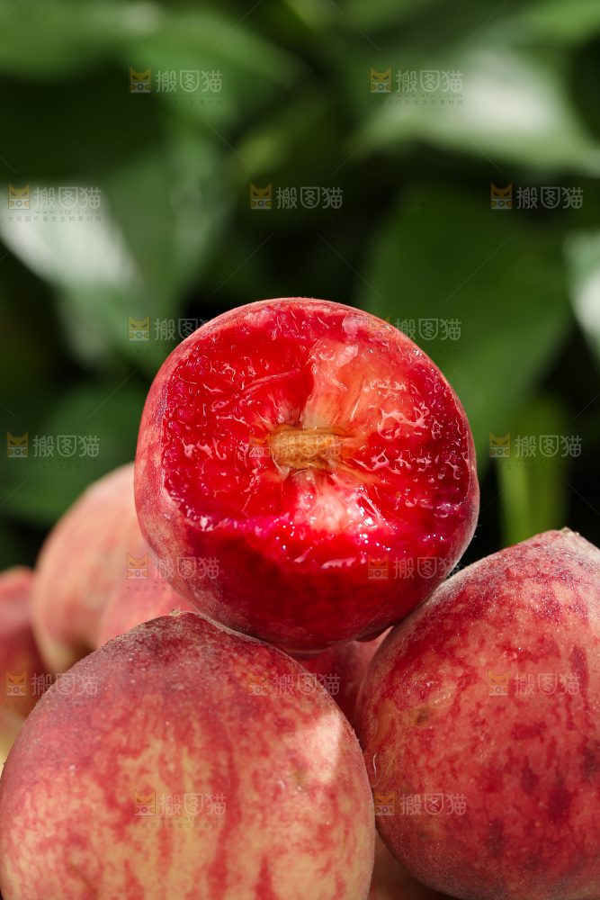 胭脂红桃子
