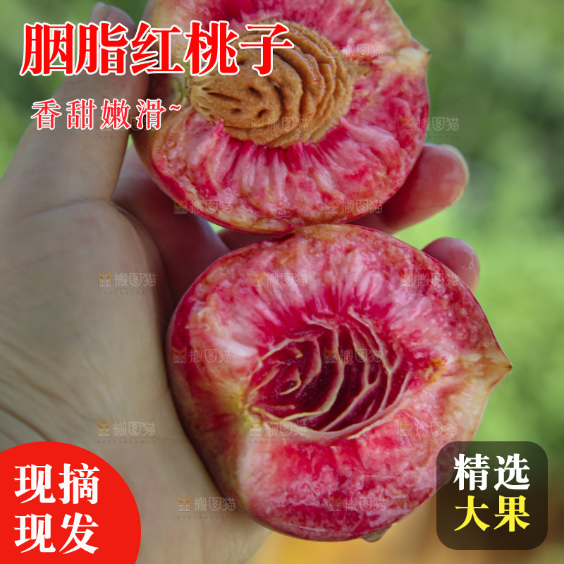 胭脂红桃子