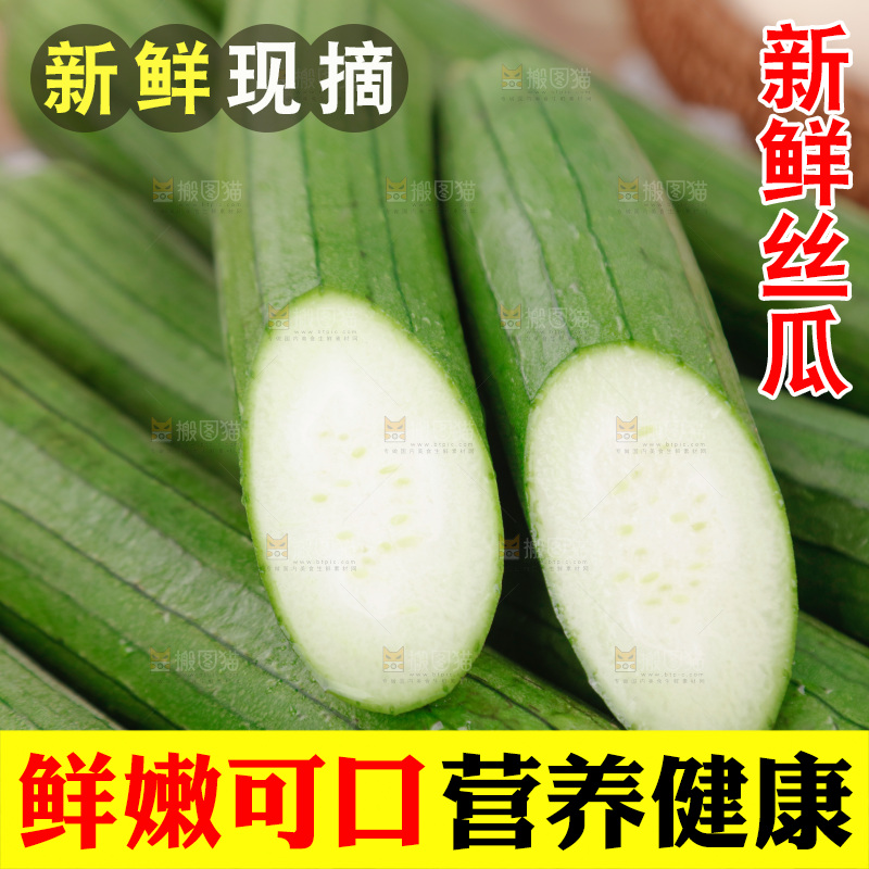 丝瓜