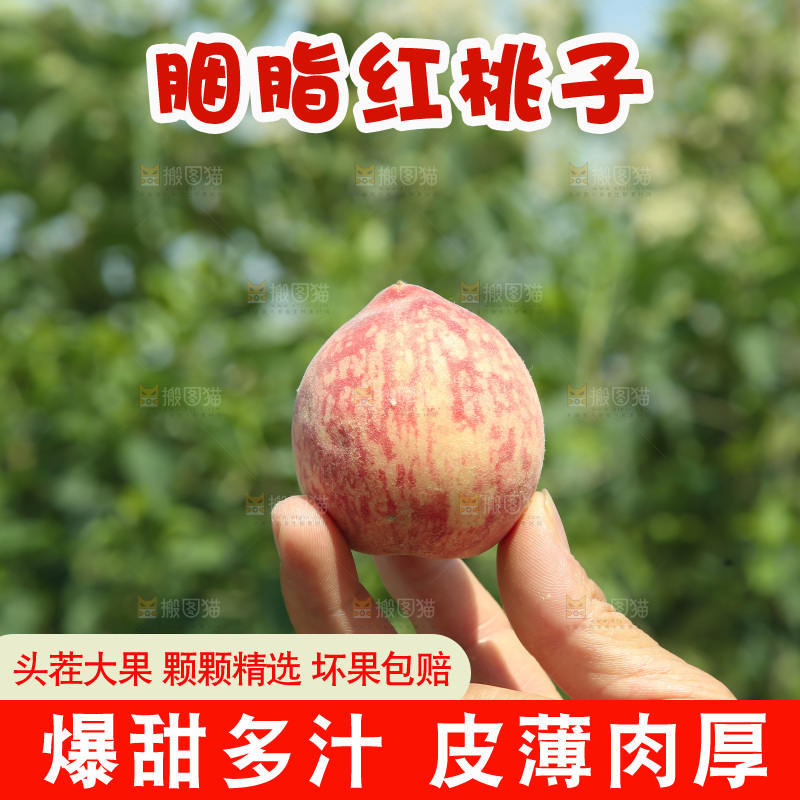 胭脂红桃子