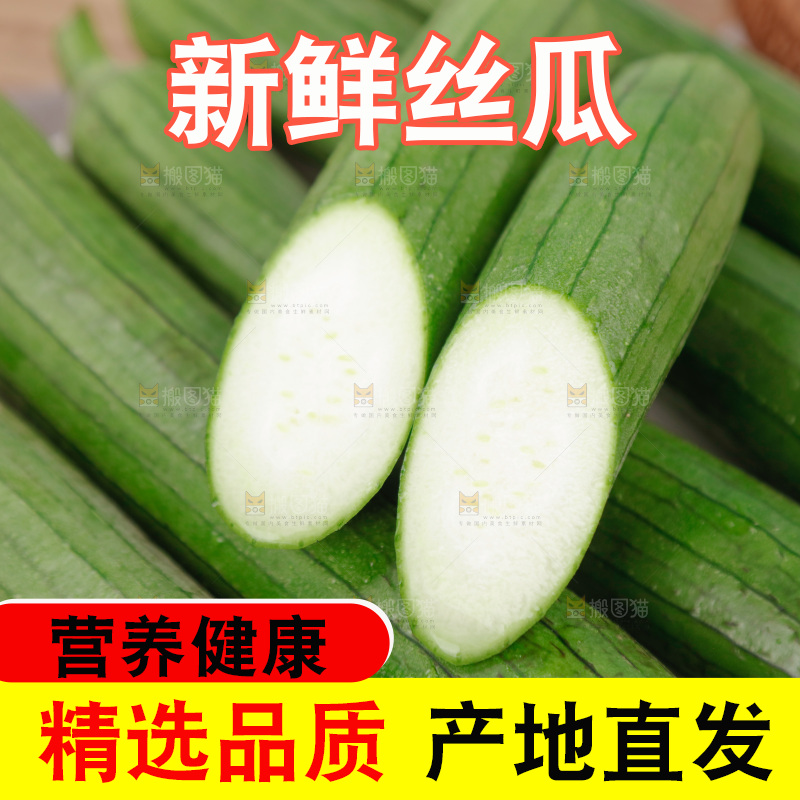 丝瓜