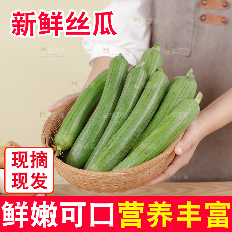 丝瓜