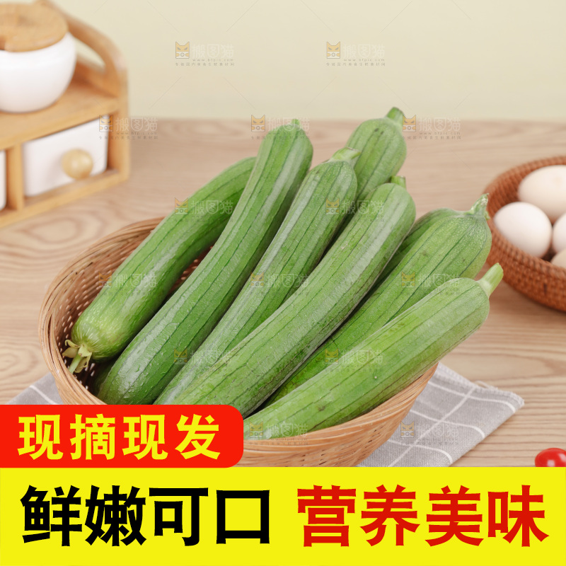 丝瓜
