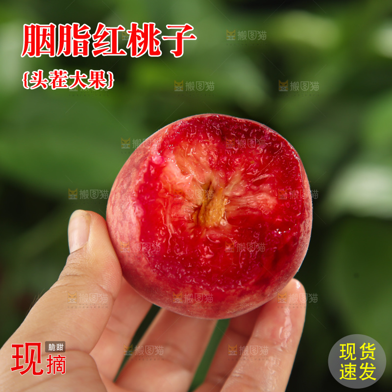 胭脂红桃子
