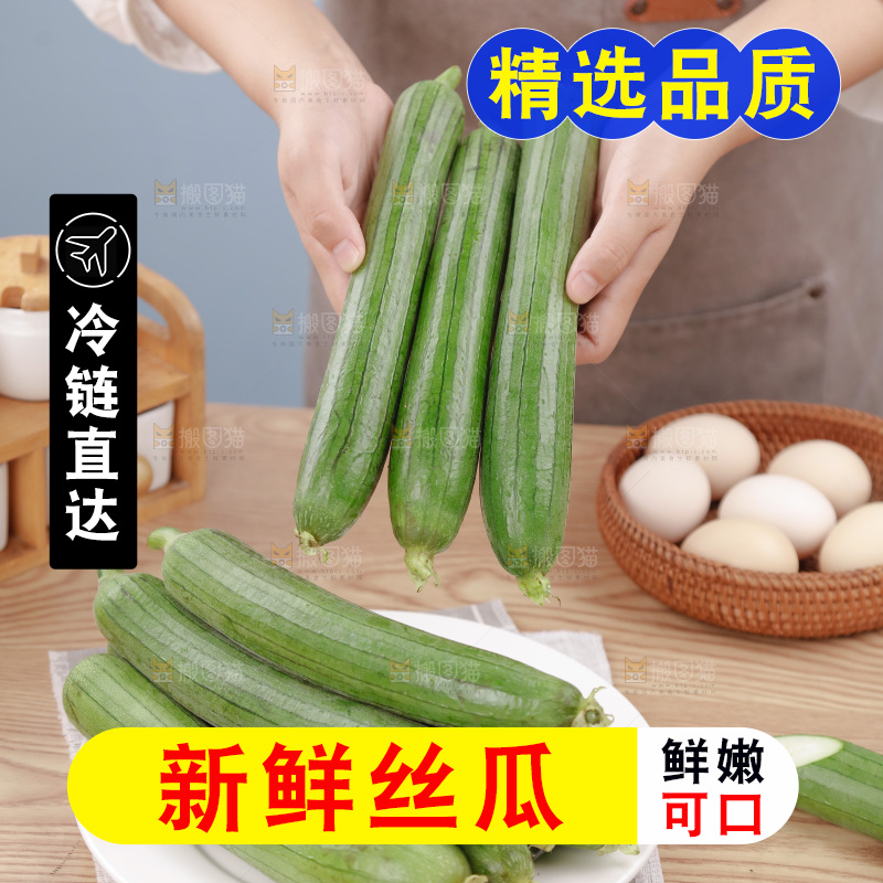 丝瓜