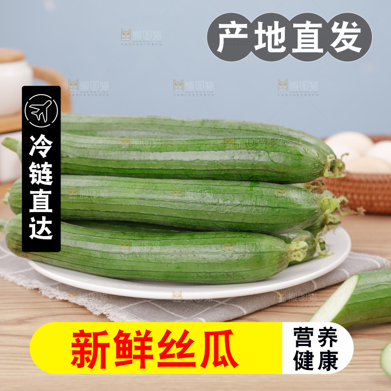 丝瓜