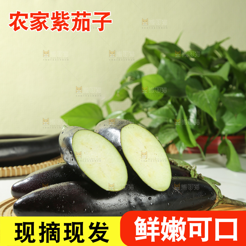 茄子