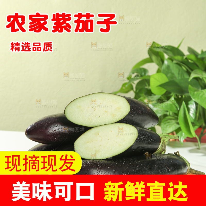 茄子