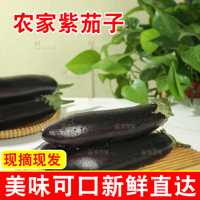 茄子