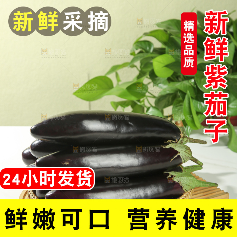 茄子