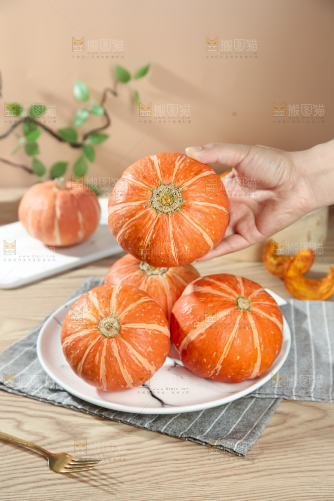红贝贝南瓜