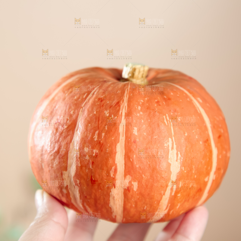 红贝贝南瓜