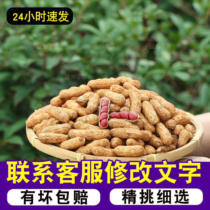 红皮花生