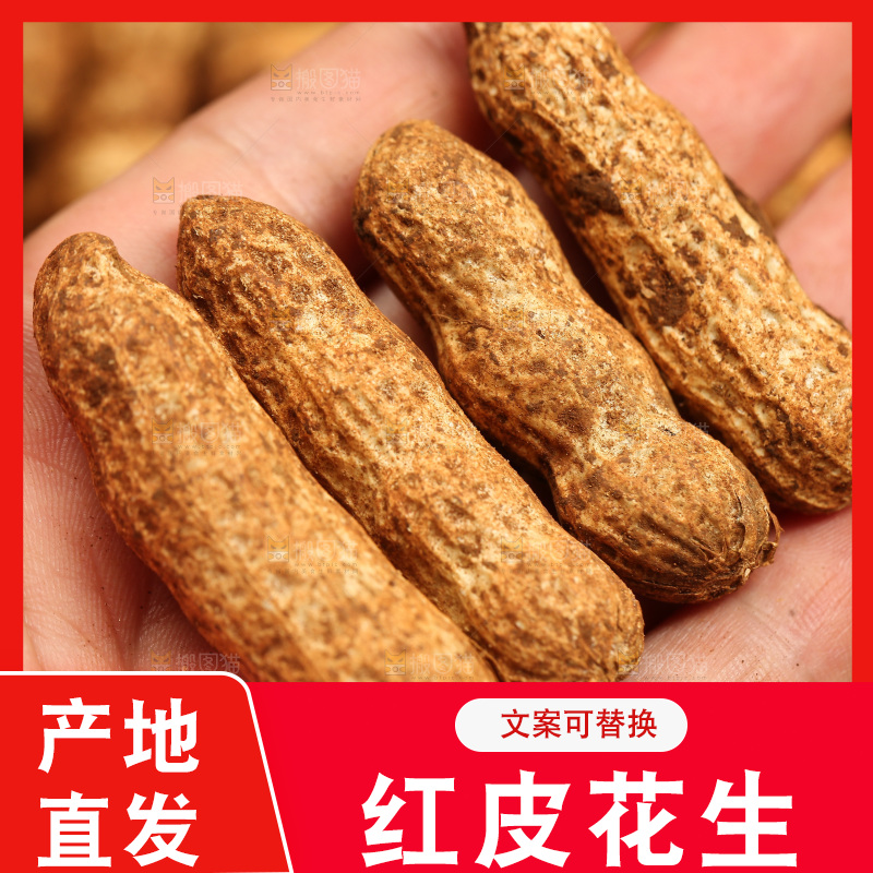 红皮花生