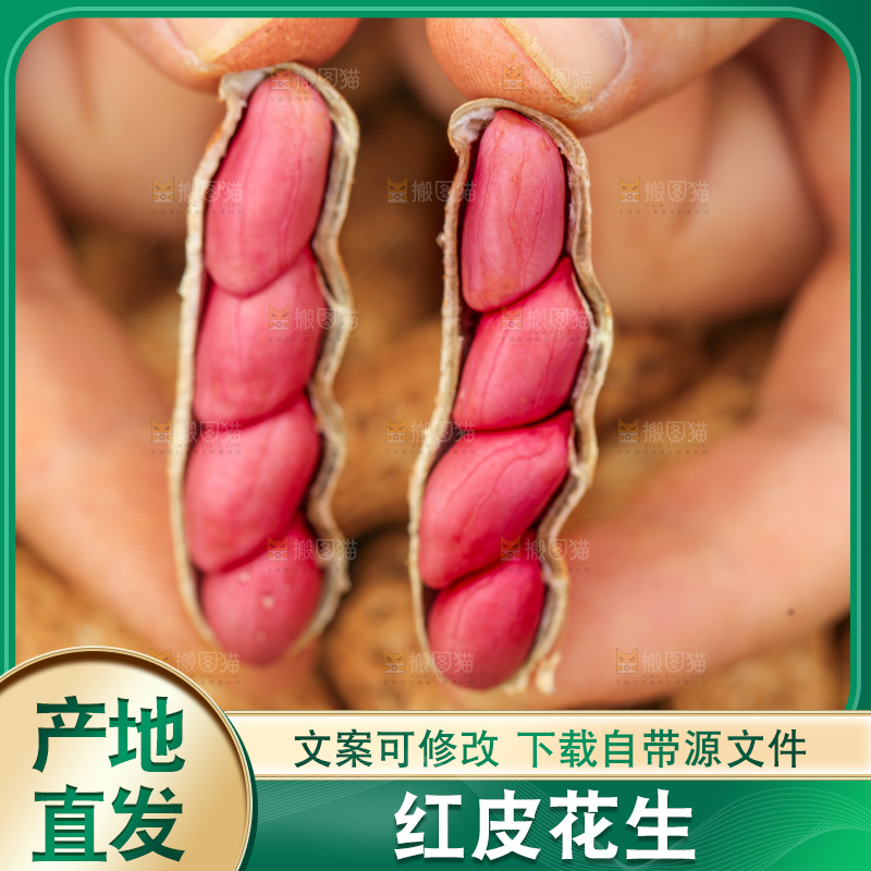 红皮花生