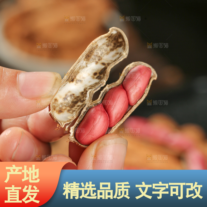 红皮花生