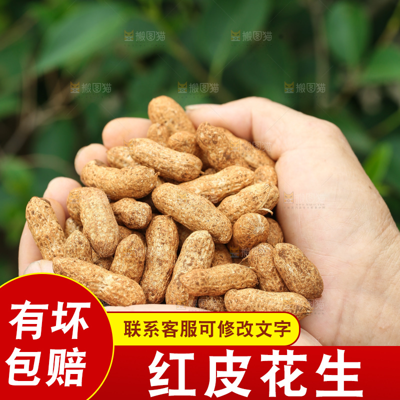 红皮花生