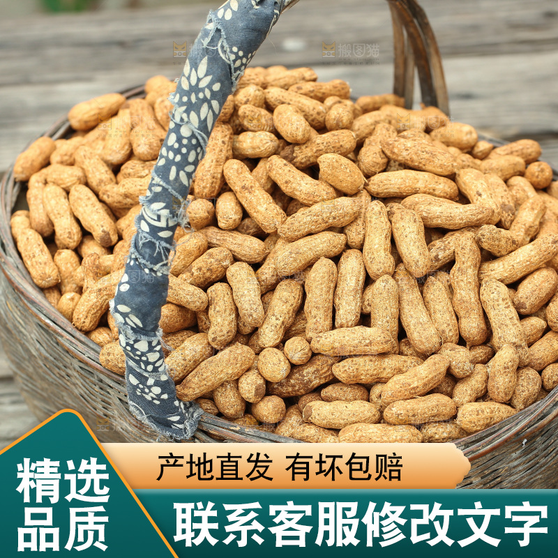 红皮花生
