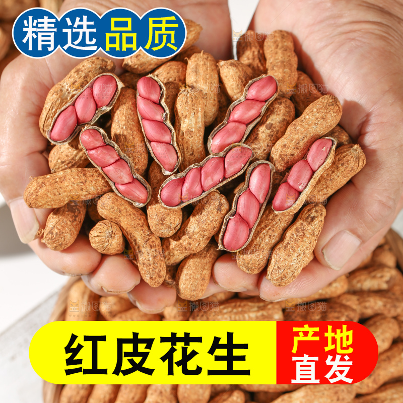 红皮花生