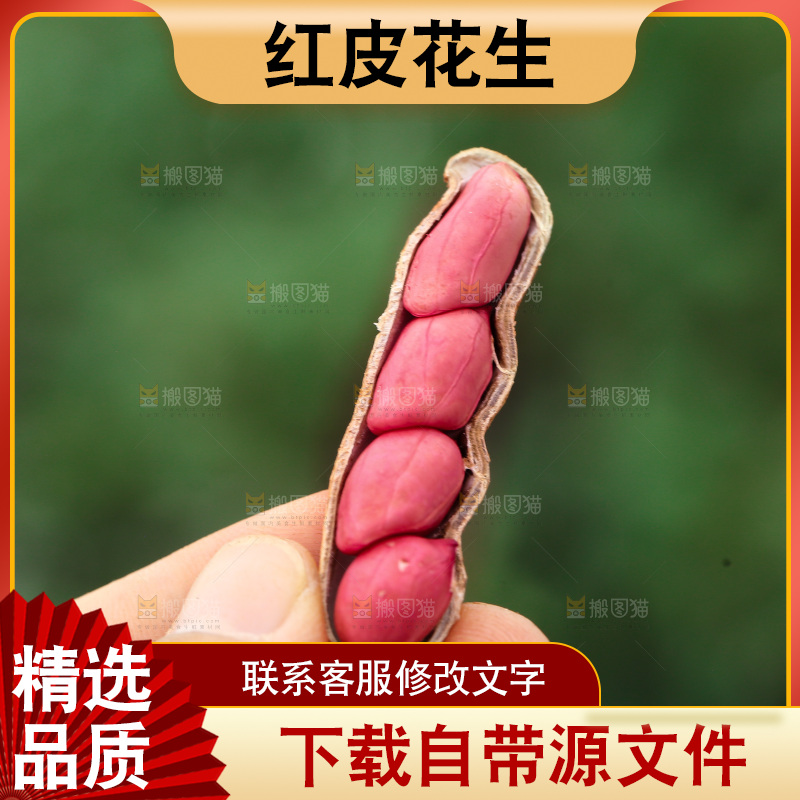 红皮花生