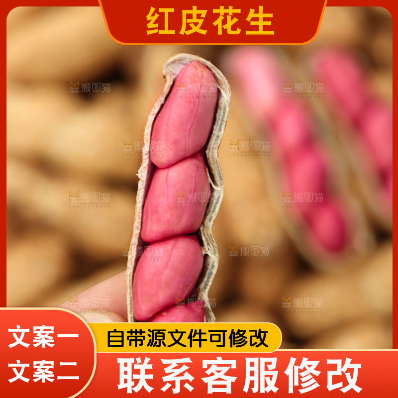 红皮花生