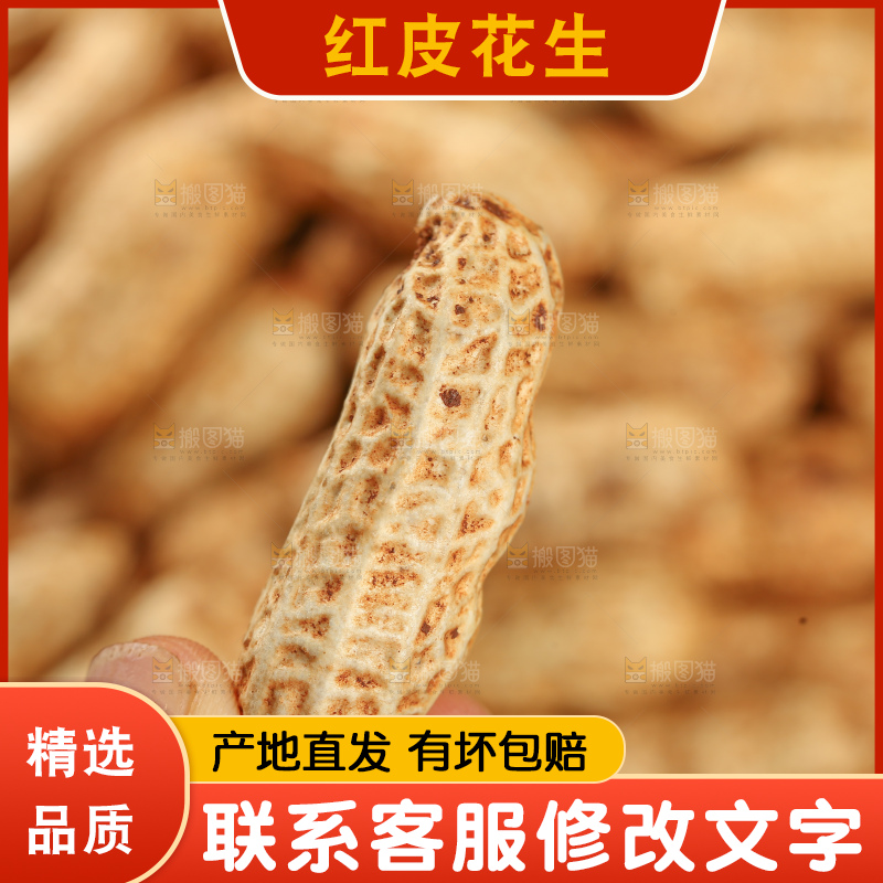 红皮花生